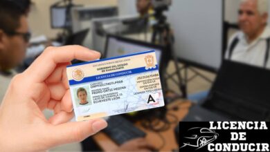 Licencia De Conducir De Irapuato Noviembre