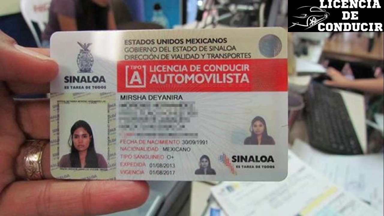 Licencia De Conducir Sinaloa Agosto Hot Sex Picture