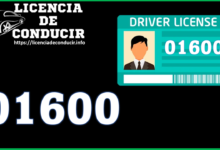 01600 licencia de Conducir