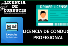 Cuál es la Licencia de conducir profesional