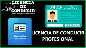 Cuál es la Licencia de conducir profesional