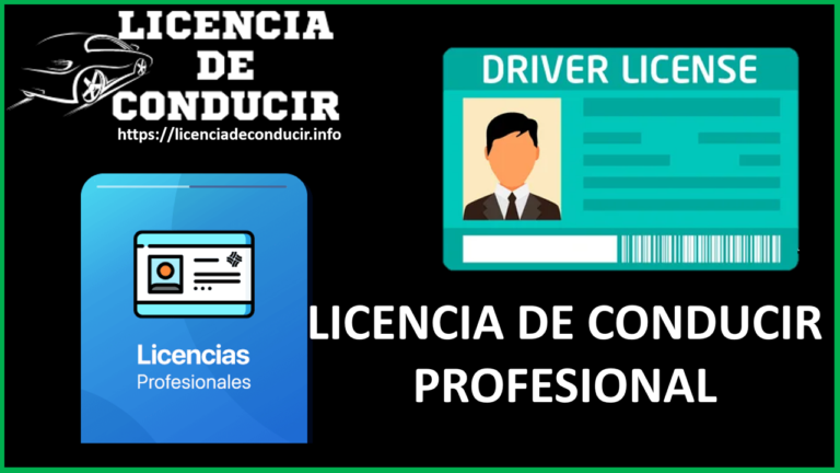 🛑 Cuál Es La Licencia De Conducir Profesional 2023-2024 🛻【 Diciembre 🚦 ...