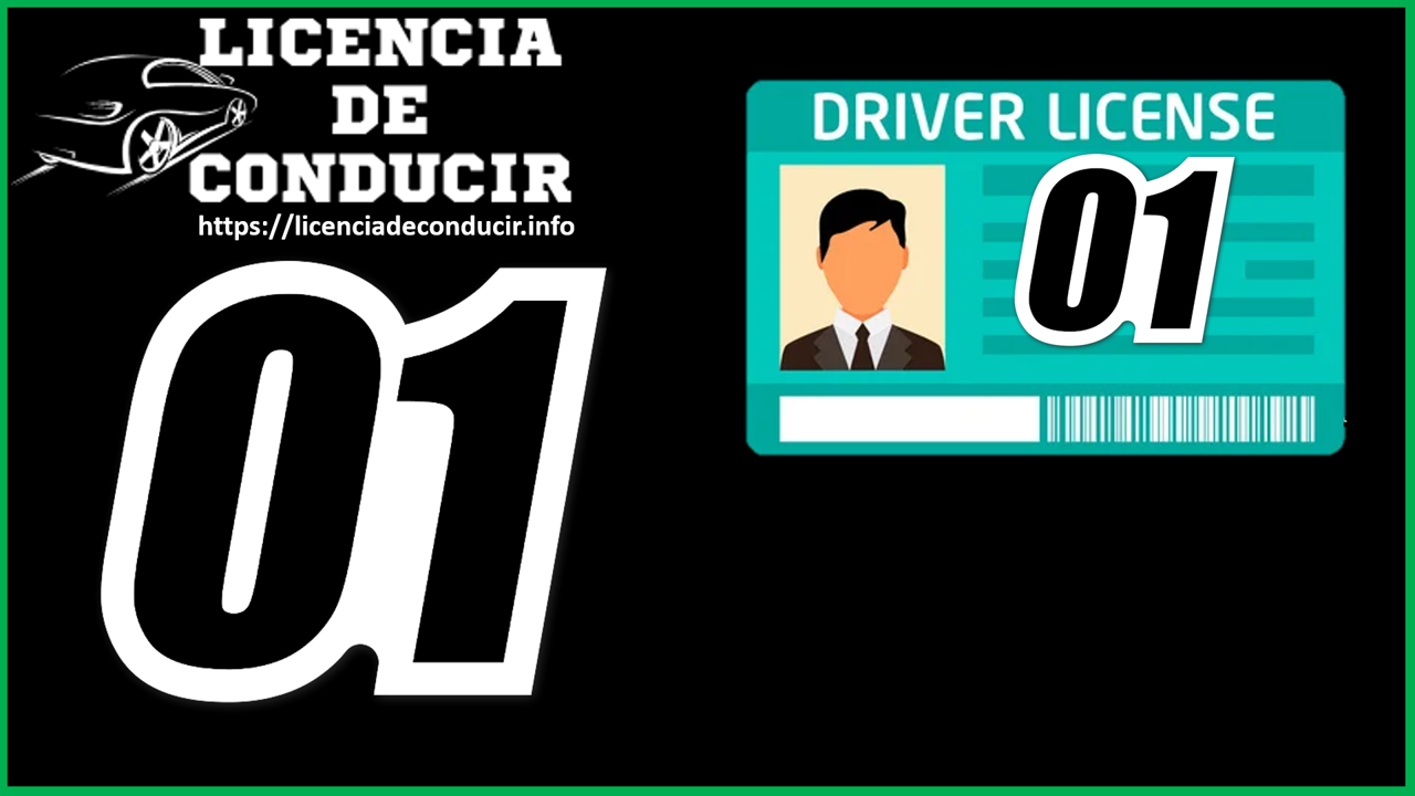 Licencia de Conducir 01