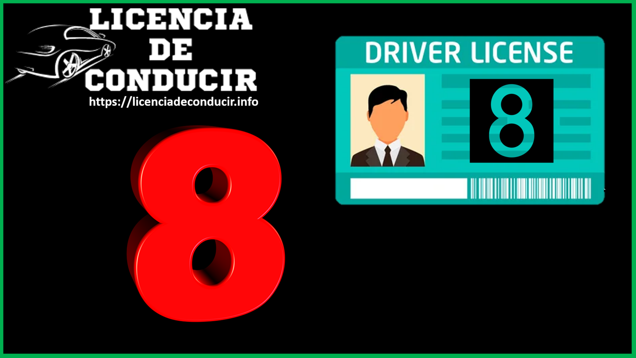 Licencia de Conducir 8