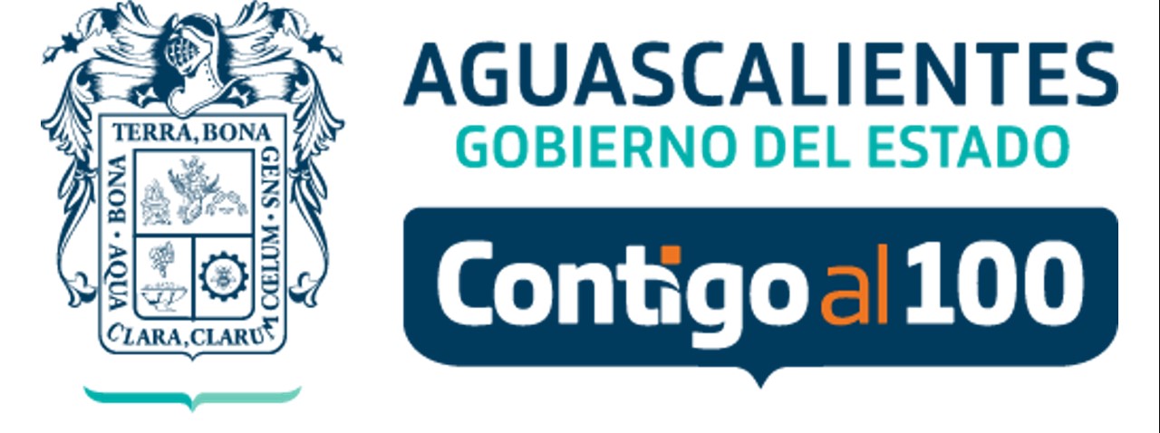 Licencia de Conducir Aguascalientes 2022-2023