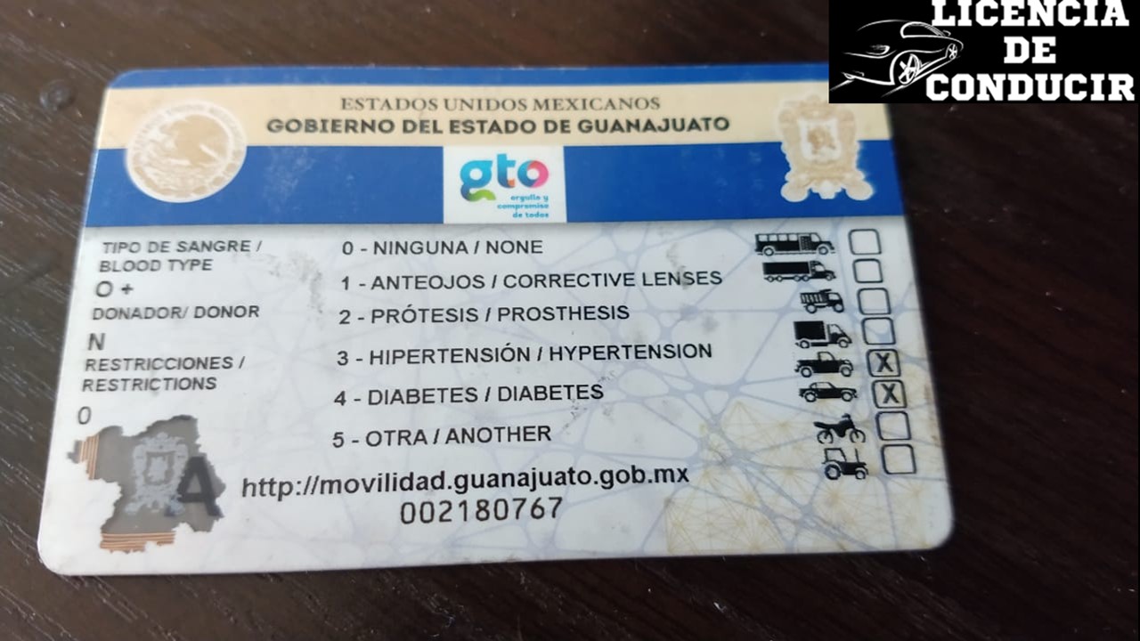 Licencia de Conducir Guanajuato