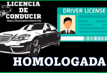 Licencia de Conducir Homologada 2022-2023