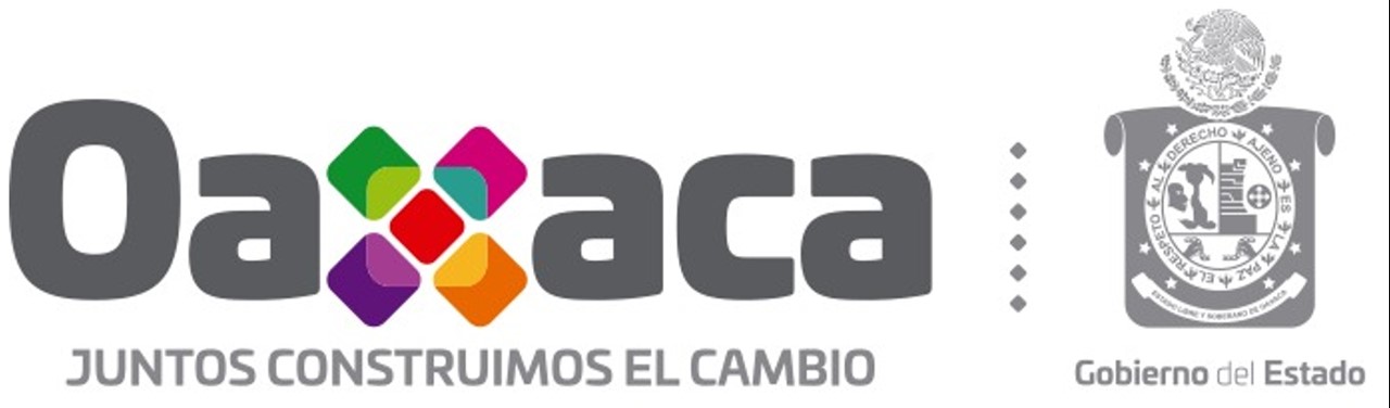 Licencia de Conducir Oaxaca 2022-2023