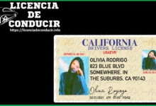Licencia de Conducir Olivia Rodrigo 2022-2023