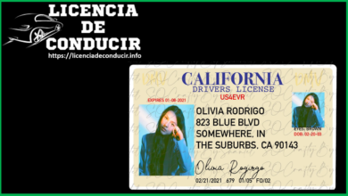 Licencia de Conducir Olivia Rodrigo 2022-2023