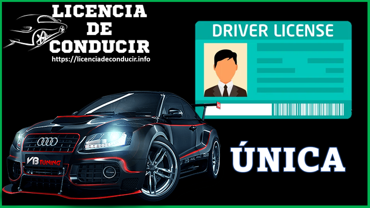 Licencia de Conducir Única 2022-2023