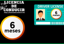 Licencia de Conducir por 6 Meses