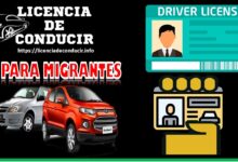 estados-que-tienen-licencias-de-conducir-para-migrantes