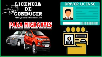 estados-que-tienen-licencias-de-conducir-para-migrantes