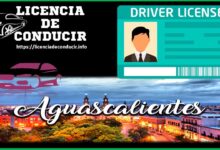 licencia-de-conducir-aguascalientes
