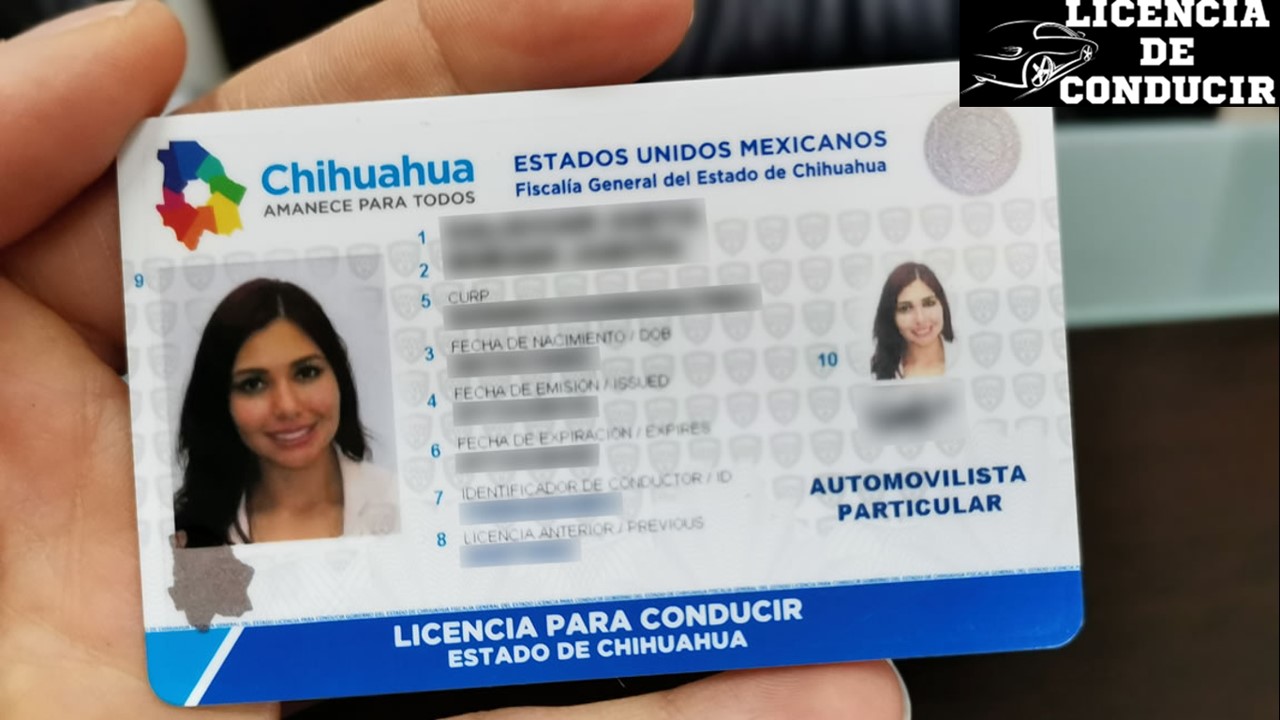 Licencia de Conducir Automovilista 2022-2023 (3)