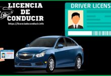 licencia-de-conducir-en-linea