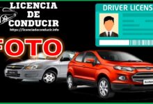 licencia-de-conducir-foto
