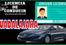 licencia-de-conducir-guadalajara