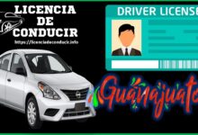 licencia-de-conducir-guanajuato