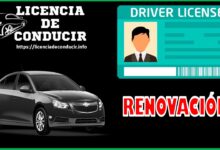 licencia-de-conducir-renovacion