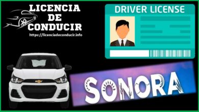 licencia-de-conducir-sonora