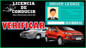 licencia-de-conducir-verificar
