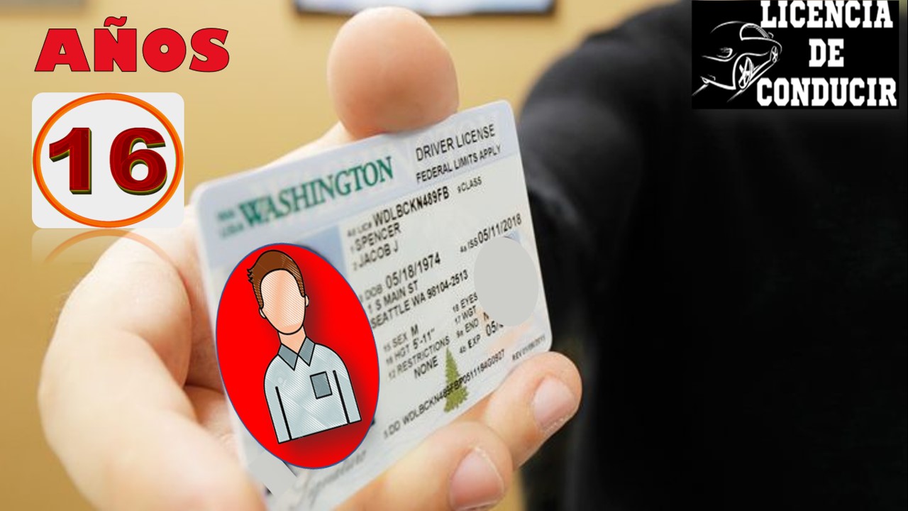 🛑 Licencia de conducir Washington 20232024 🛻【 agosto 🚦 2024】