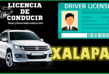 licencia-de-conducir-xalapa