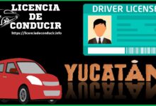 licencia-de-conducir-yucatan
