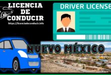 nuevo-mexico-tramita-tu-licencia-para-conducir
